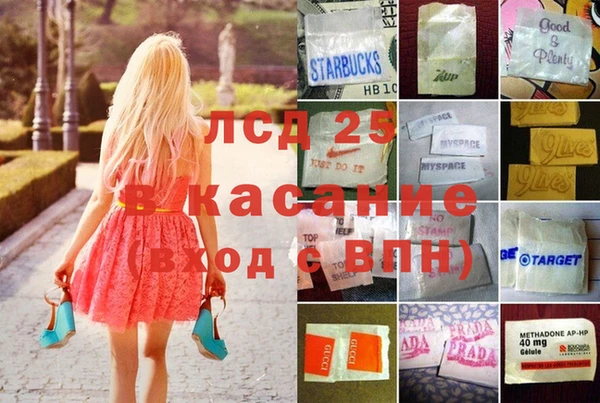 ПСИЛОЦИБИНОВЫЕ ГРИБЫ Костерёво