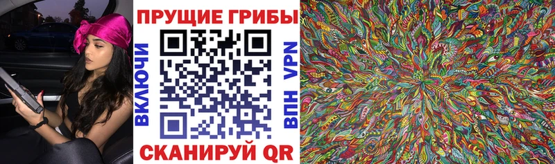 Псилоцибиновые грибы прущие грибы  Иваново 