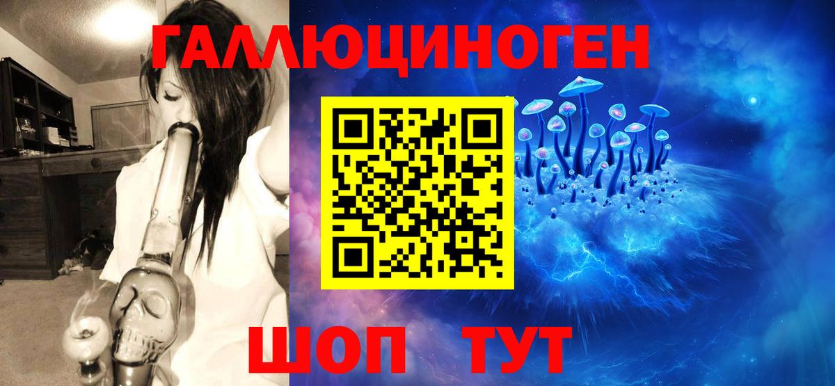 купить  цена  Иваново  Псилоцибиновые грибы мицелий 