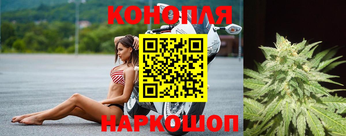 Бошки Шишки сатива Иваново